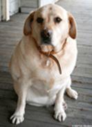 clip_image006